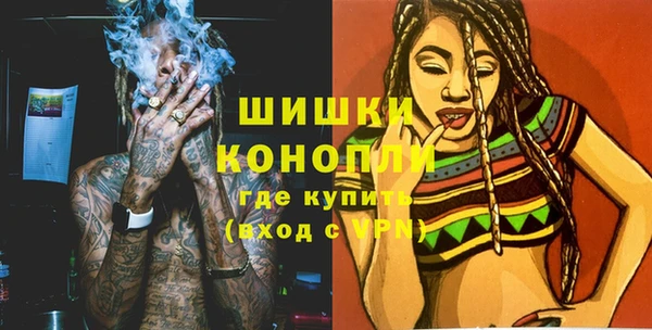 крисы Новокубанск