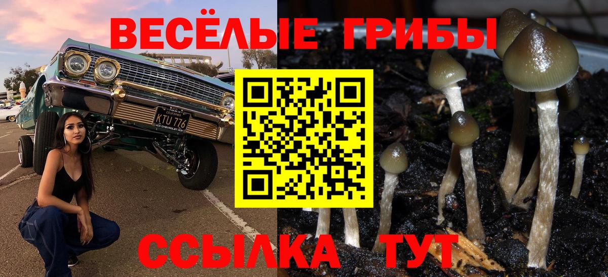 Галлюциногенные грибы MAGIC MUSHROOMS  где продают наркотики  Рузаевка  Вход с VPN 
