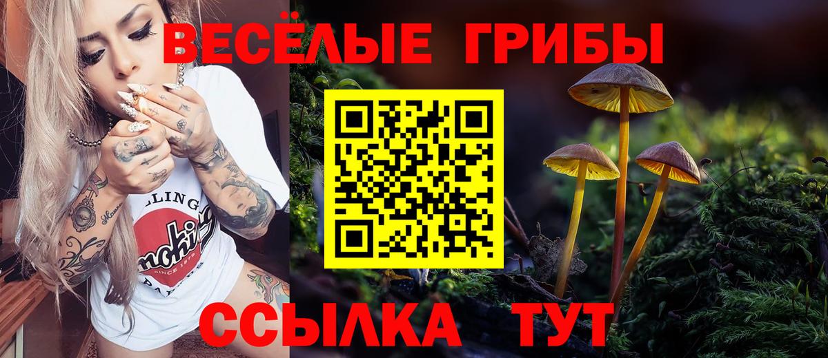 Псилоцибиновые грибы Magic Shrooms Рузаевка